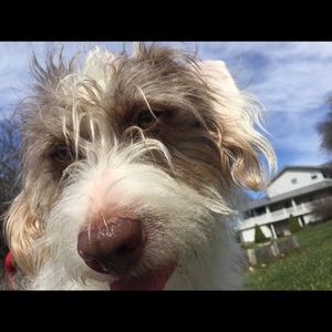 Meet your Posher, Patricia